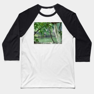 Chinaberry tree Baseball T-Shirt